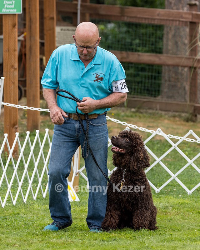 2802 - CH BLACKTHORN'S LASS THAT LOVES A SAILOR IN WICKLOW CD BN RM CGC