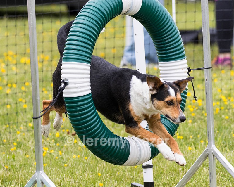 Flume Wishengrad