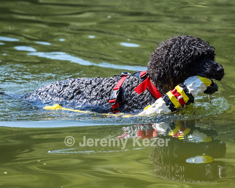 Winston Barber