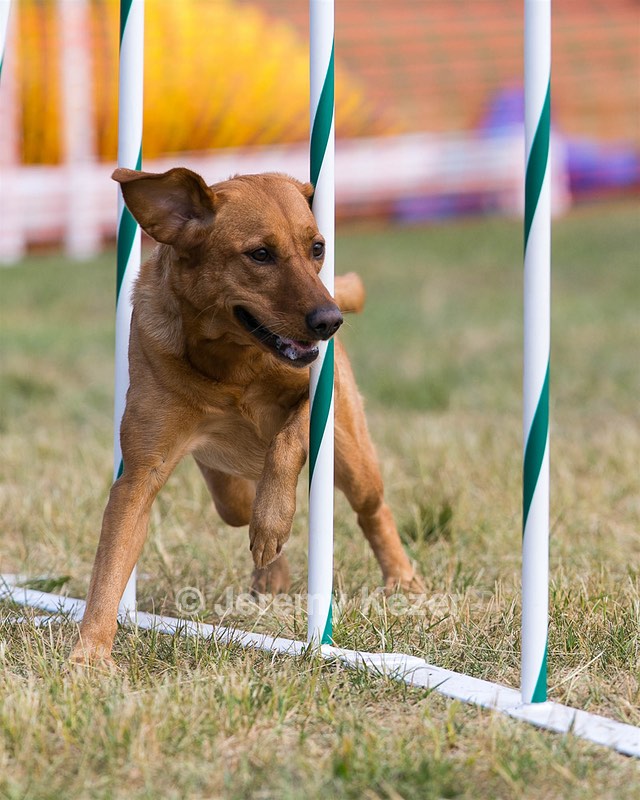 20150614-CCKC-0066.jpg