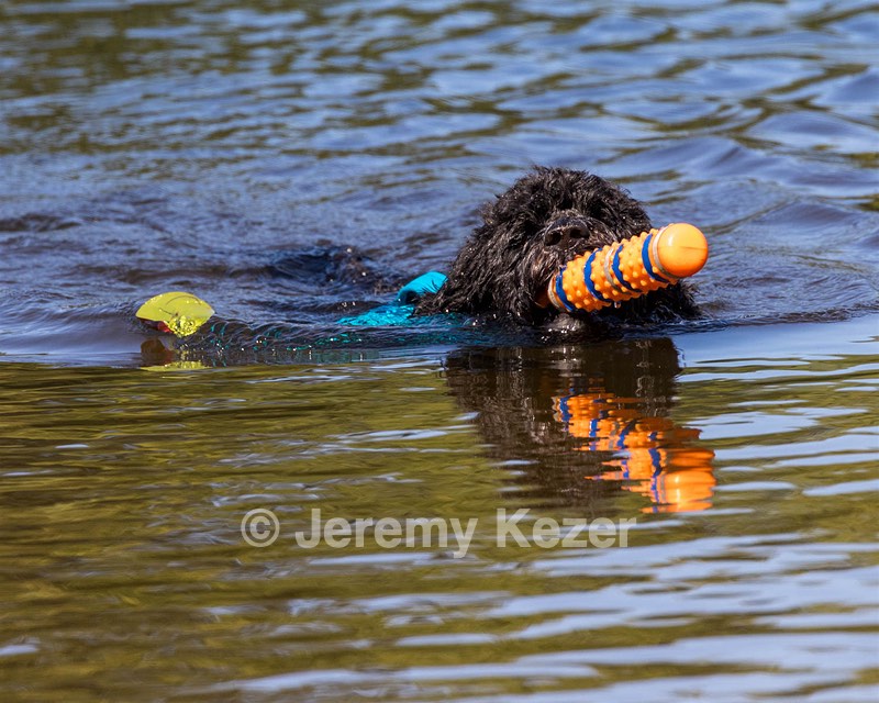 Fenwick Janet