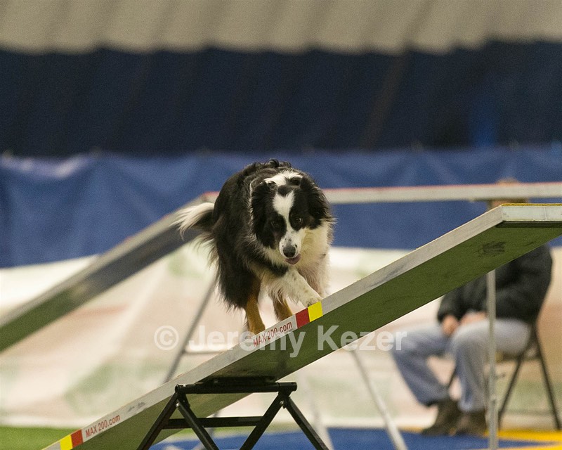 20150321-LEAP-1032.jpg