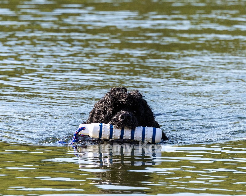 Camo Berger