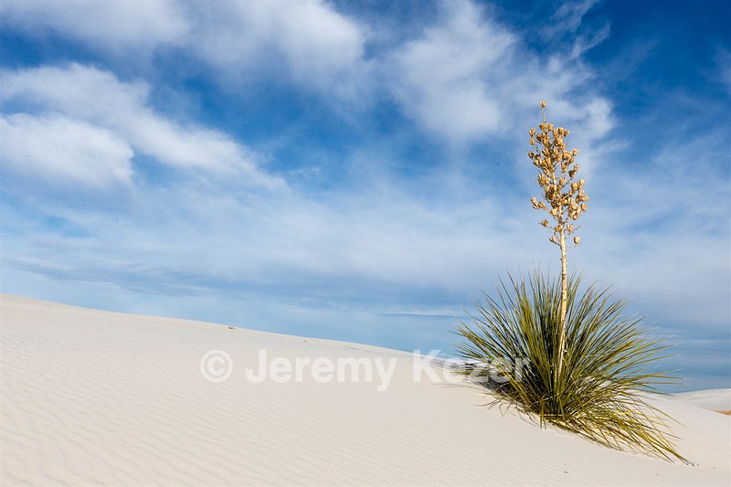 White Sands National Monument, New Mexico