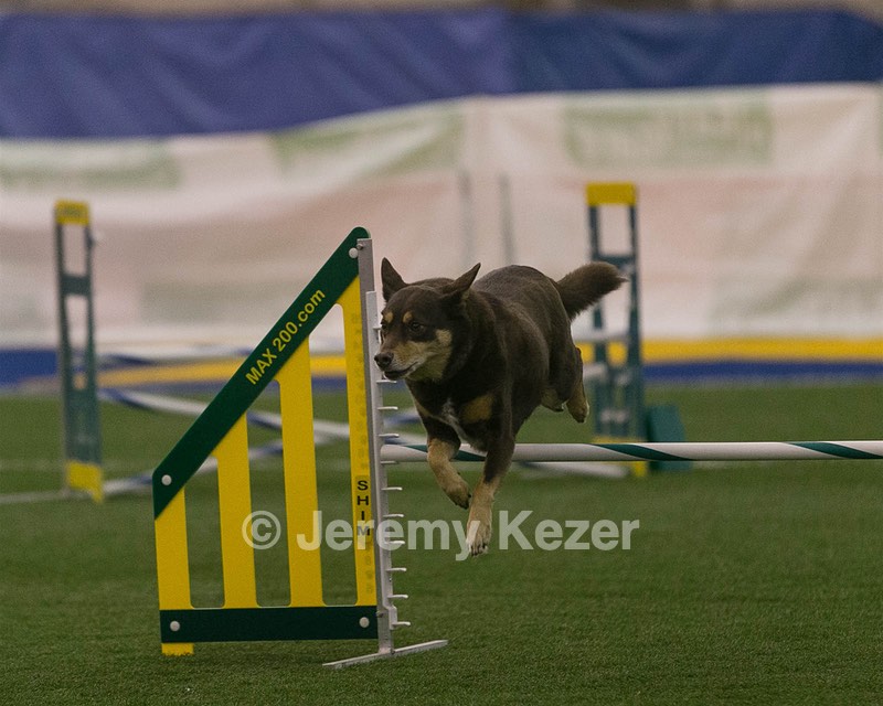 20150321-LEAP-0363.jpg