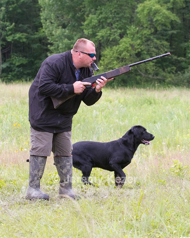 Ruger Collins