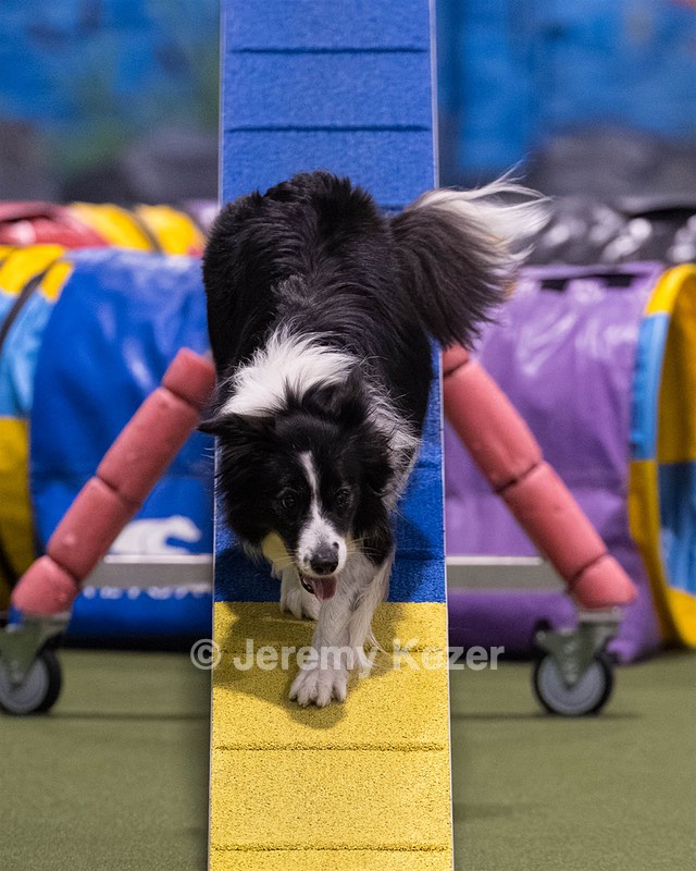 Breeze Schunk