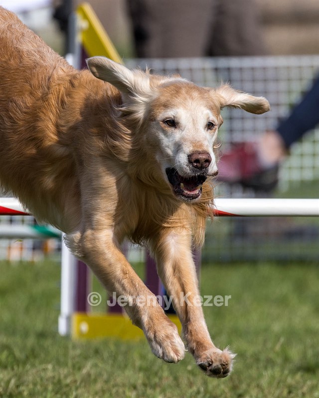 20230916-PVKC-1366.jpg