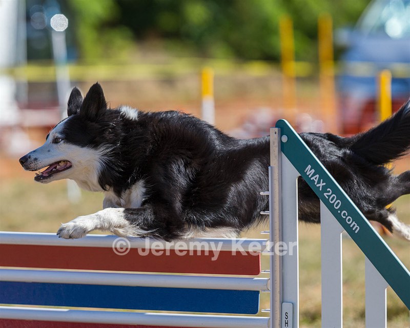 20160618-CCKC-0197.jpg