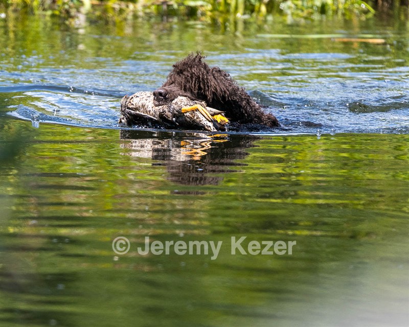 Ghillie Kezer