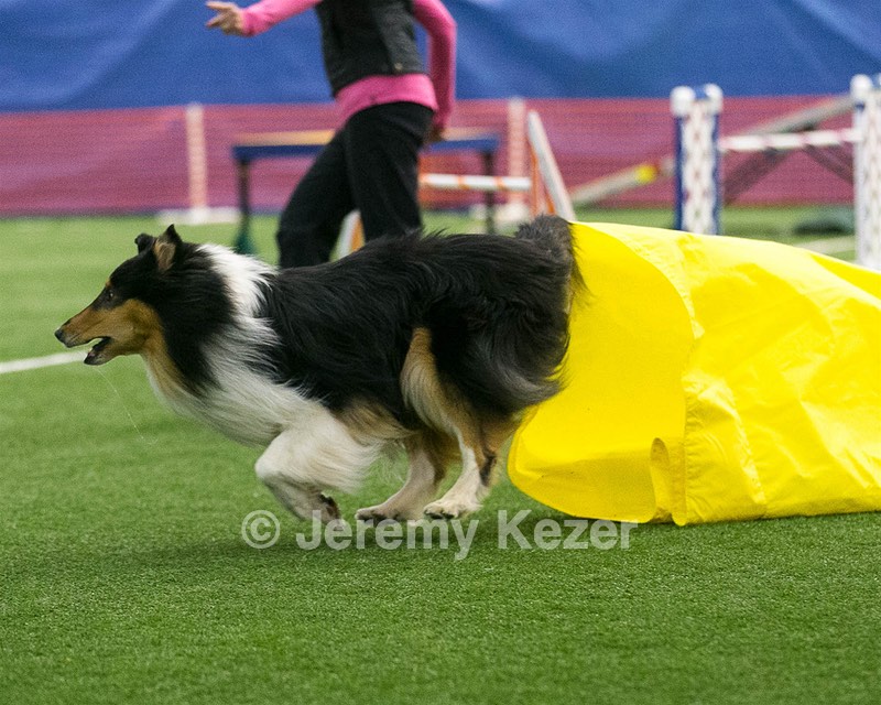 20150322-LEAP-0662.jpg