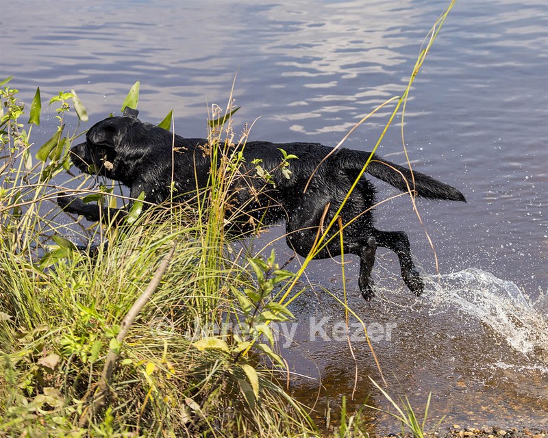 Waylon Kerr