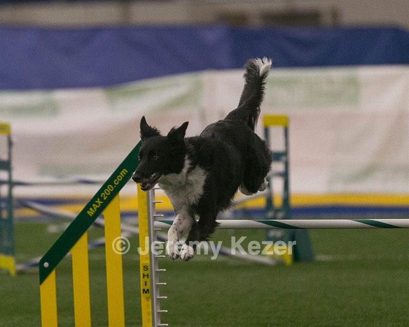20150321-LEAP-0335.jpg