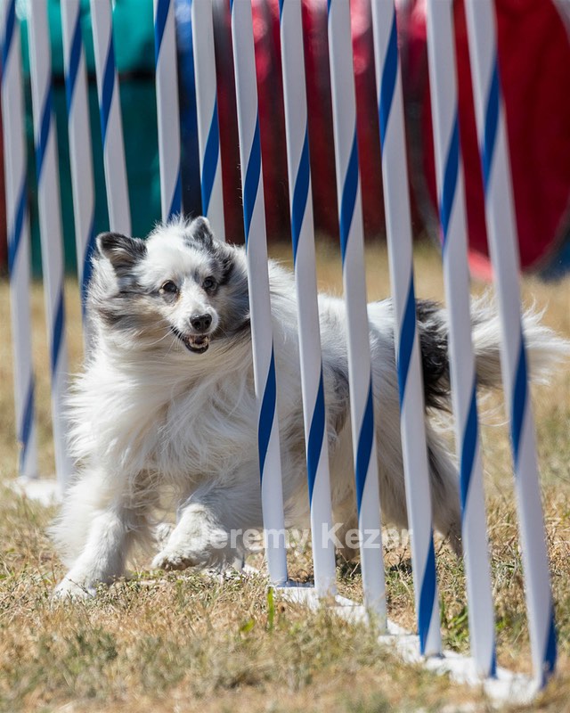 20160618-CCKC-1951.jpg