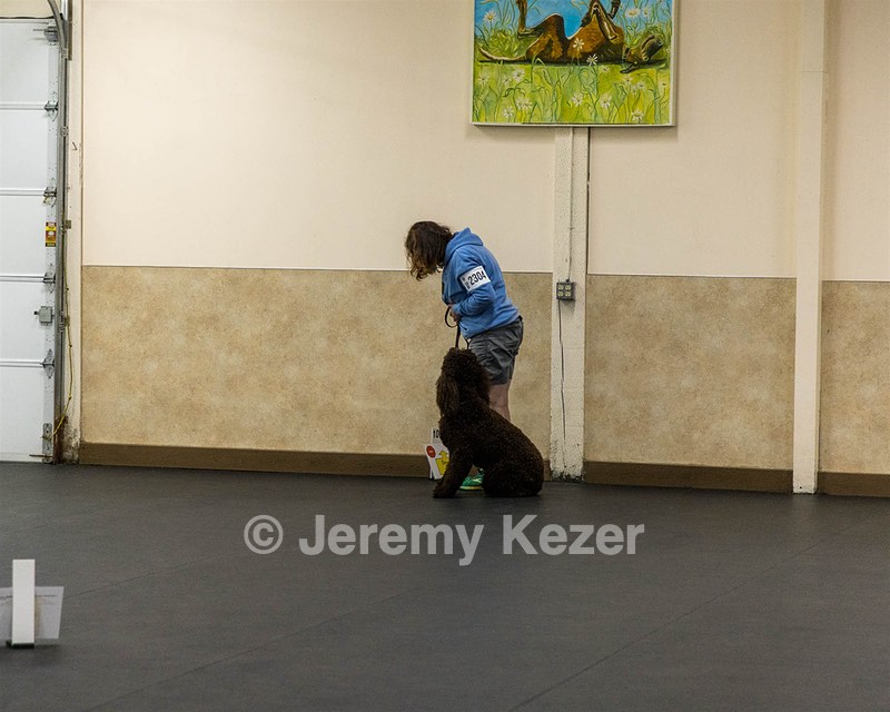 2304 - GCH CH BREKKON'S FIRST MARK BN RN CGC TKN (Hunny)