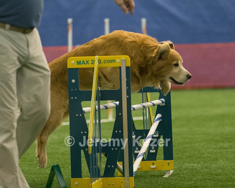 20150321-LEAP-0838.jpg