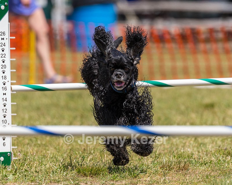 20180617-1364.jpg