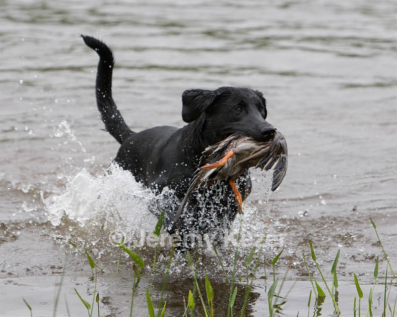 20080531-HRW-1022.jpg