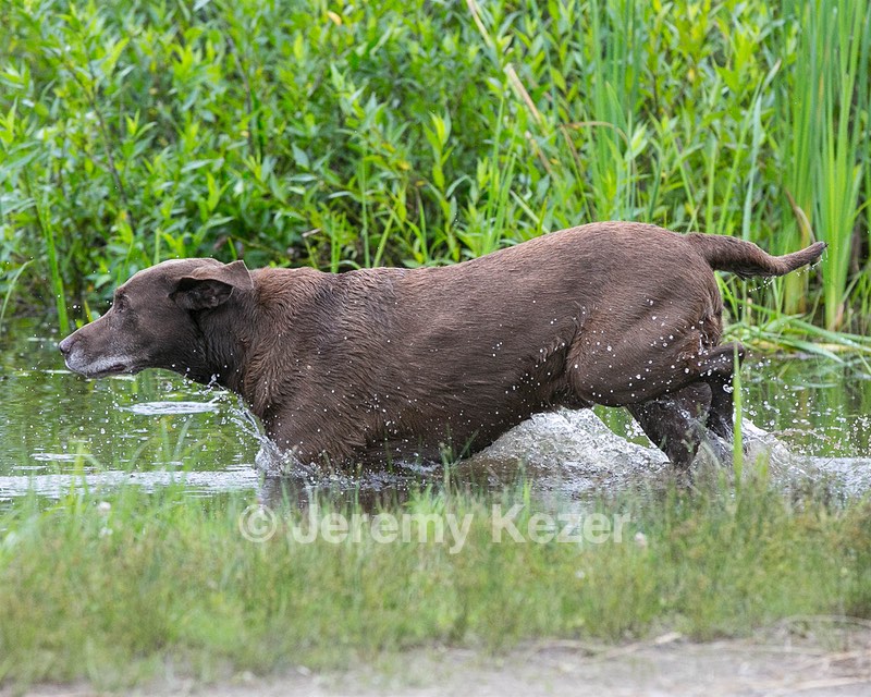 20130713-MHB2-0100.jpg