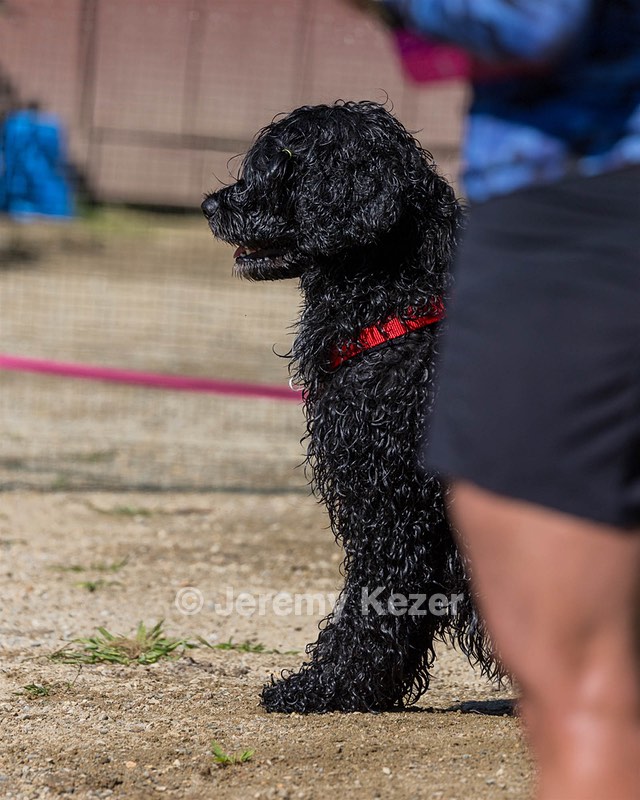 Penny Kocher