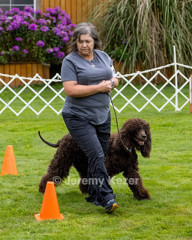 1101 - FINNIBONE'S CUZ MAMA CAN RE DS DJA CGC TKN VHMA (Mama Cass)