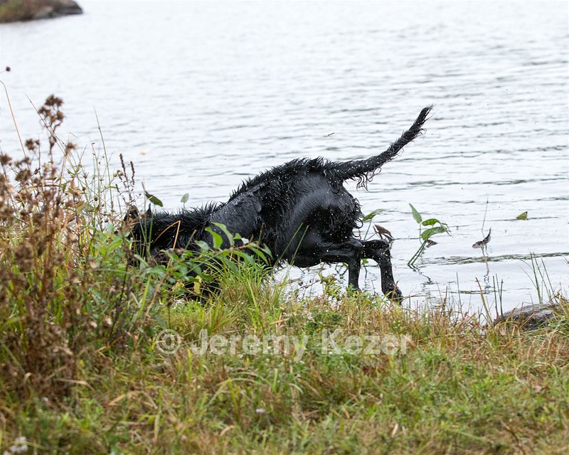 20141004-WCXW-0465.jpg