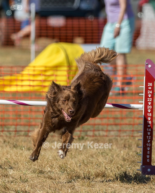 20160619-CCKC-1782.jpg