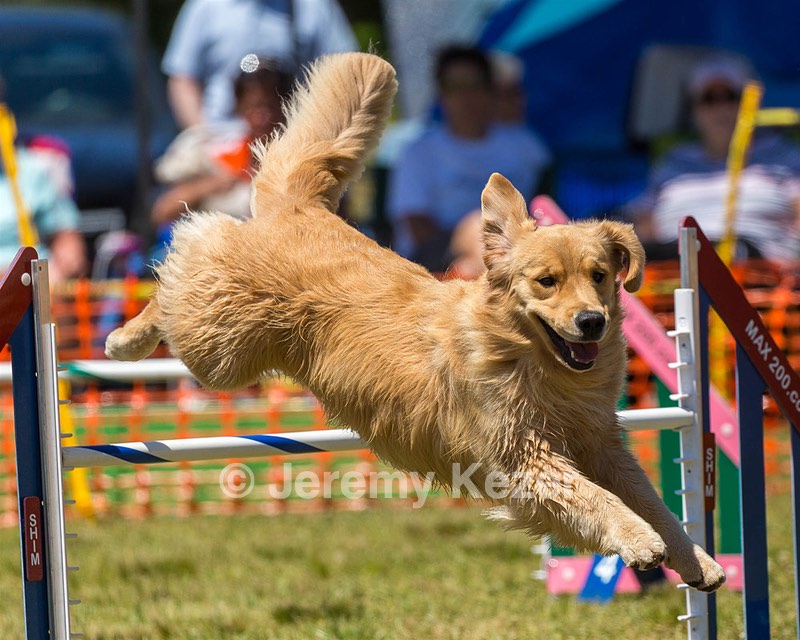 20190615-CCKC-1066.jpg