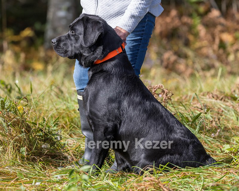 Levi Wolf