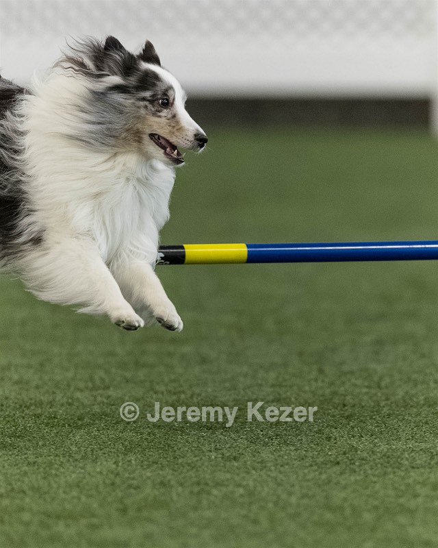 Stormy Dabrowski