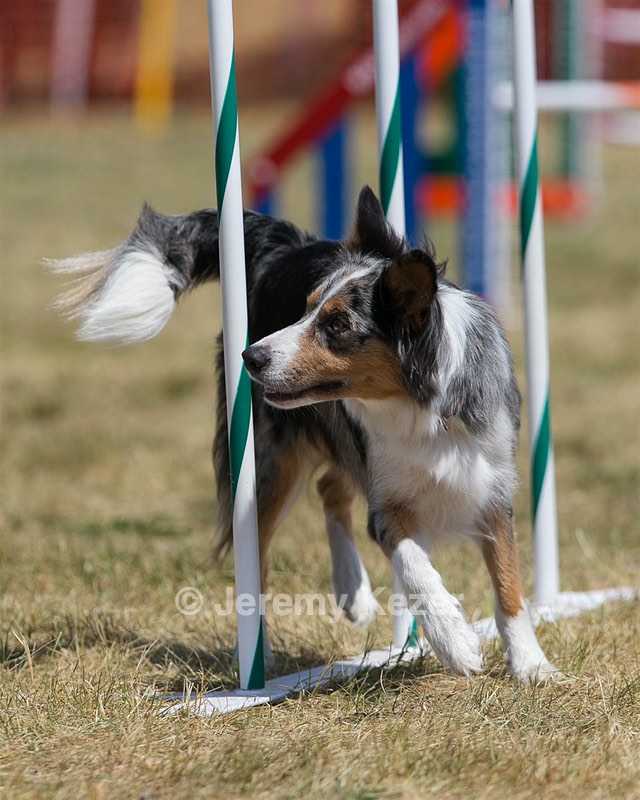 20150614-CCKC-1763.jpg