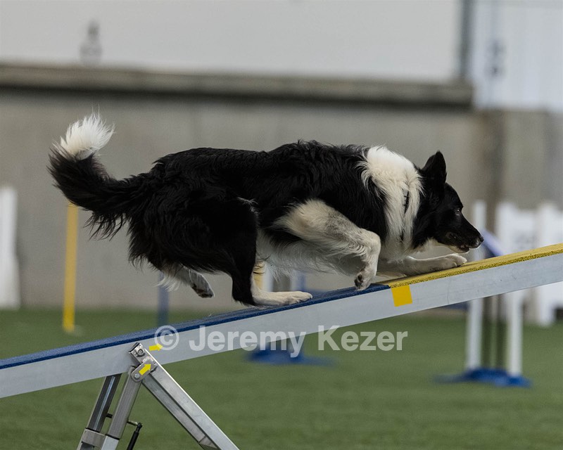 Edge Fillips