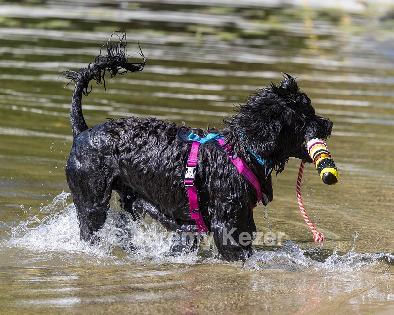 Penny Toby-Ann