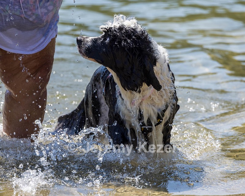 Seasea Proulx