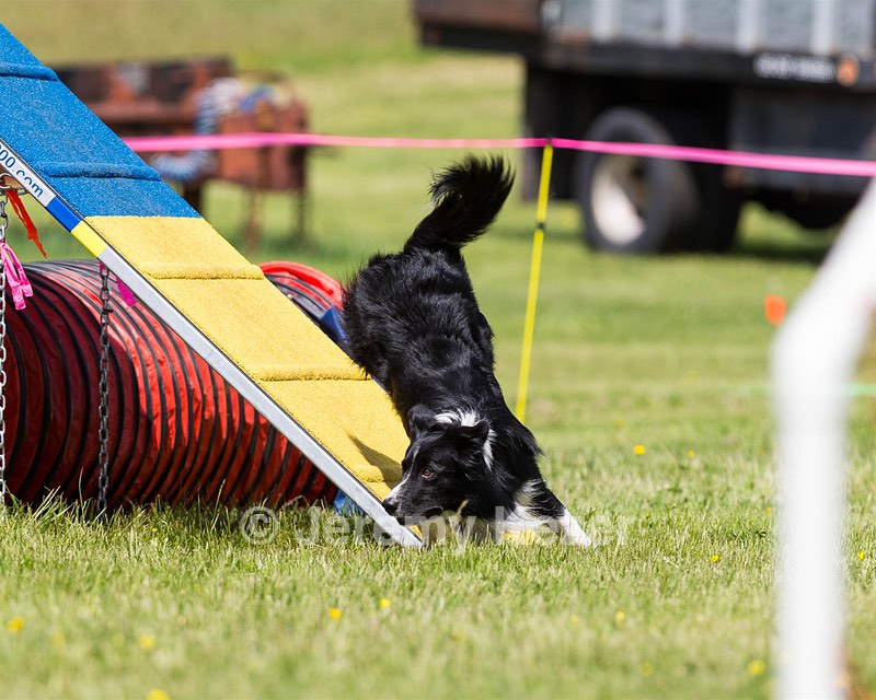 20160514-NEAT-1064.jpg