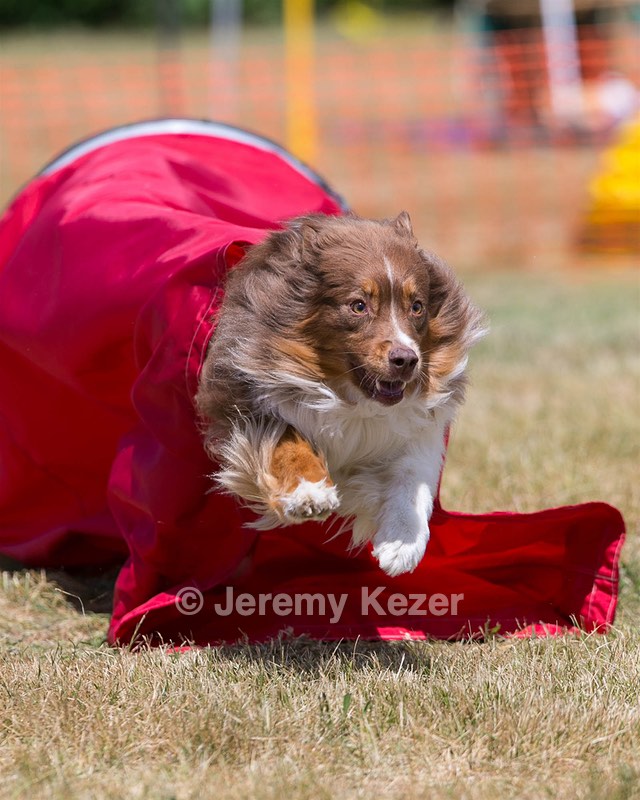 20150613-CCKC-0192.jpg