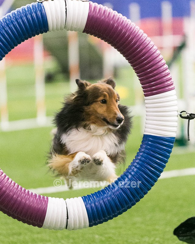 20150322-LEAP-0297.jpg