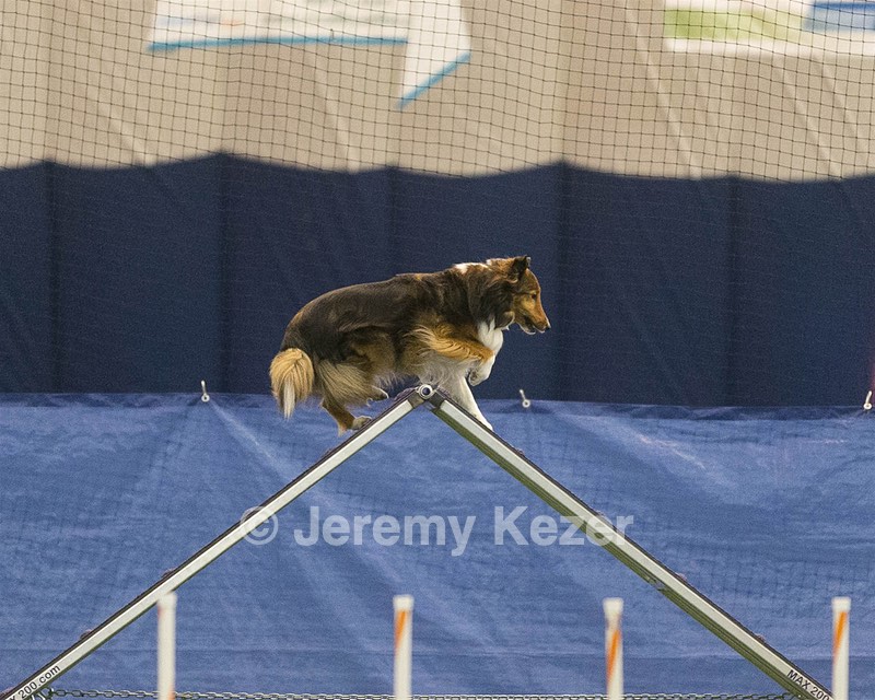 20150321-LEAP-1324.jpg