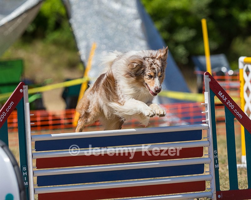 Keebler Derby