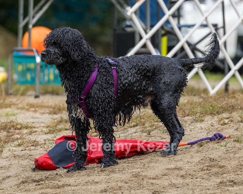 20210912-MWD-0108.jpg