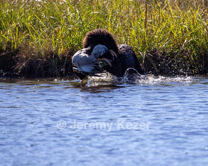 Ghillie Kezer