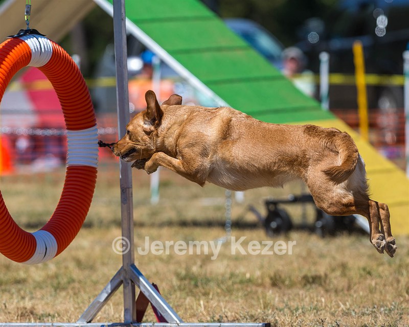 20160619-CCKC-1466.jpg