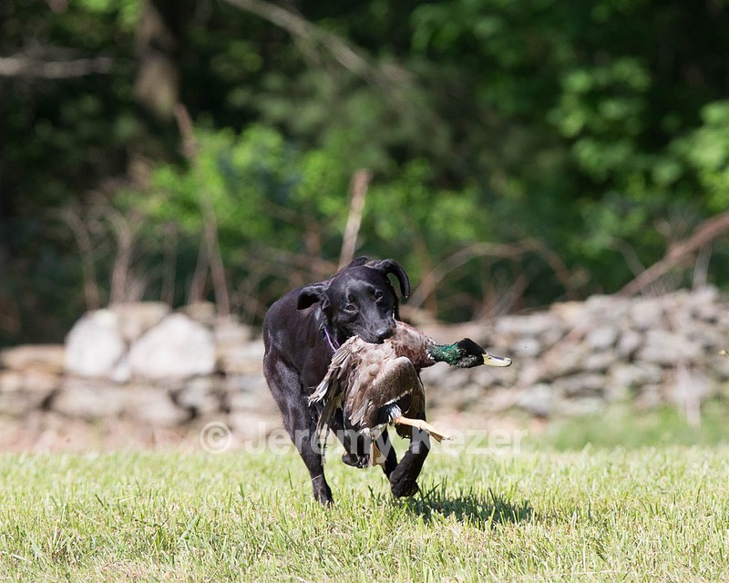 Peace