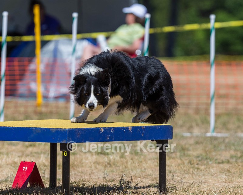 20160619-CCKC-1224.jpg