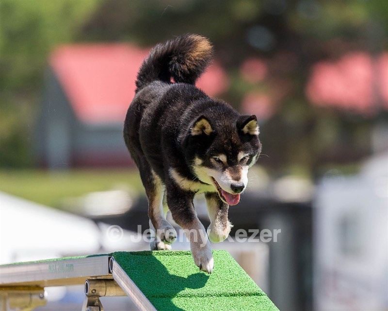 20180617-1406.jpg