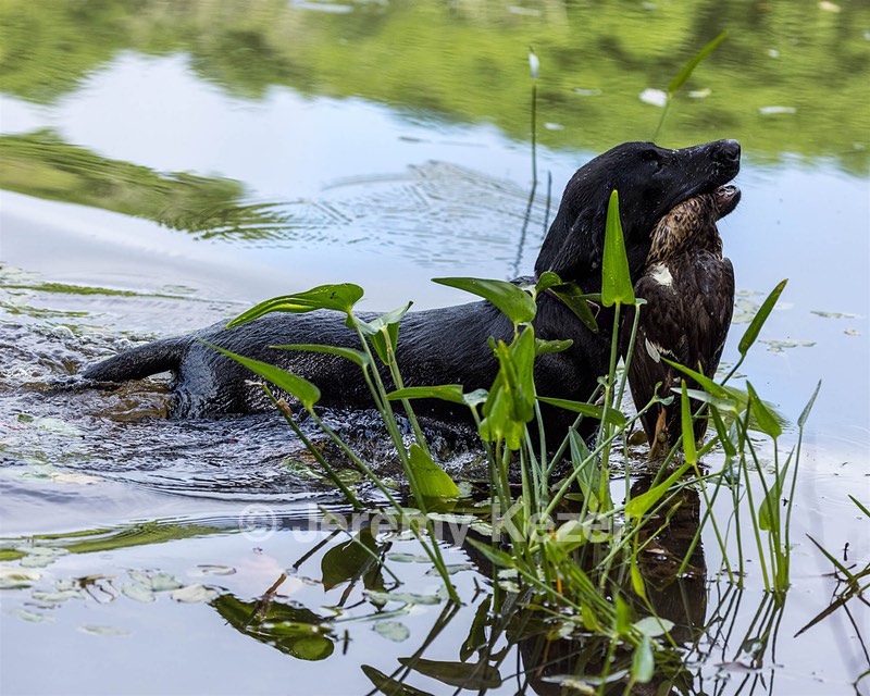 20220604-SHW-0633.jpg