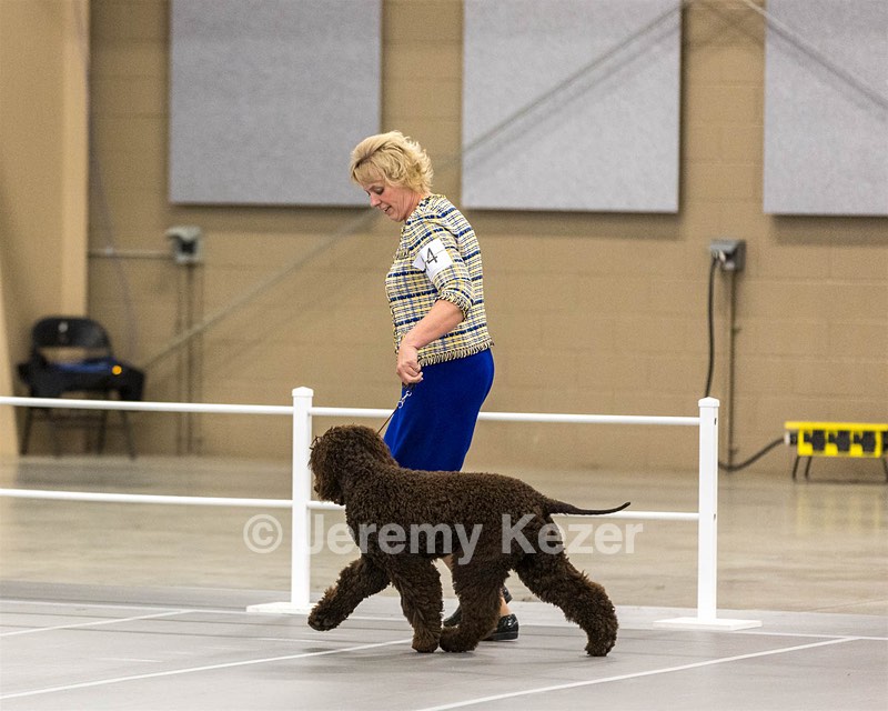 14 - Kendall’s Anyone Can Whistle TKN (Betty)