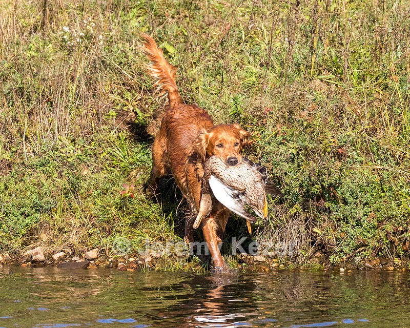 Canoe Lantiegne