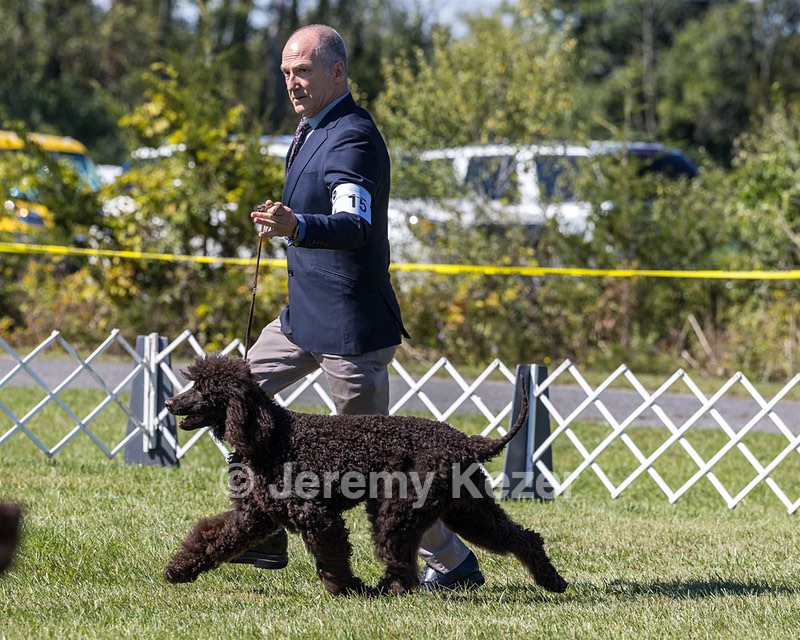 15 - ALTO'S COULD IT BE MAGIC