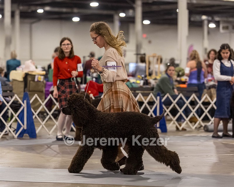 12 - GCH EPIK'S IN OMNIA PARATUS CGC ATT BCAT (Myna)